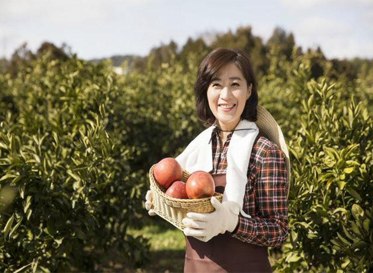 【潤康】磨煤機(jī)磨輥與您分享：互聯(lián)網(wǎng)巨頭紛紛賣菜，農(nóng)民會(huì)不會(huì)被“割韭菜”？